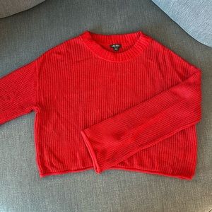 Wild Fable (Target) Red Sweater Size L